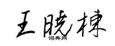 王正良王曉棟行書個性簽名怎么寫