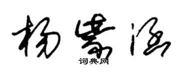 朱錫榮楊紫涵草書個性簽名怎么寫