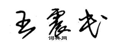 朱錫榮王震民草書個性簽名怎么寫