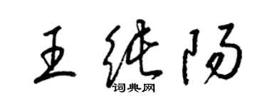 梁錦英王純陽草書個性簽名怎么寫