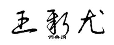 曾慶福王新尤草書個性簽名怎么寫