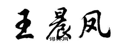 胡問遂王晨鳳行書個性簽名怎么寫