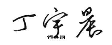 駱恆光丁宇晨草書個性簽名怎么寫