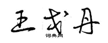 曾慶福王戈丹草書個性簽名怎么寫