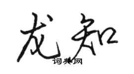 駱恆光龍知行書個性簽名怎么寫