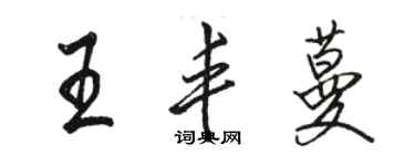 駱恆光王豐蔓行書個性簽名怎么寫