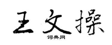 曾慶福王文操行書個性簽名怎么寫