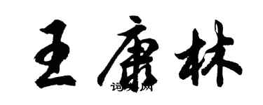 胡問遂王康林行書個性簽名怎么寫