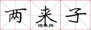 袁強兩來子楷書怎么寫