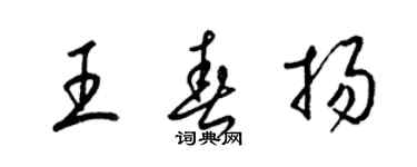 梁錦英王春揚草書個性簽名怎么寫