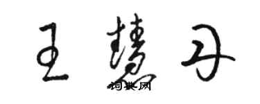 駱恆光王慧丹草書個性簽名怎么寫