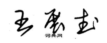 朱錫榮王展武草書個性簽名怎么寫