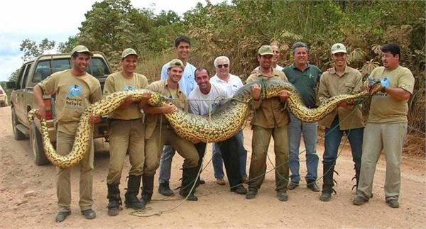 胡亥真的是以庶民身份下葬的嗎?為什麼胡亥的墓這么寒酸?