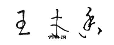 駱恆光王才香草書個性簽名怎么寫