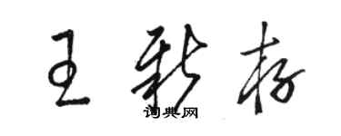 駱恆光王新存草書個性簽名怎么寫