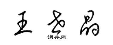 梁錦英王世晶草書個性簽名怎么寫