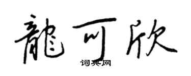 王正良龍可欣行書個性簽名怎么寫