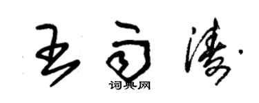 朱錫榮王雨濤草書個性簽名怎么寫