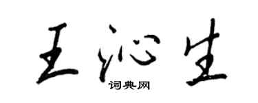王正良王沁生行書個性簽名怎么寫