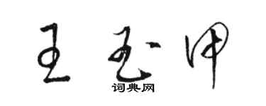 駱恆光王玉甲草書個性簽名怎么寫