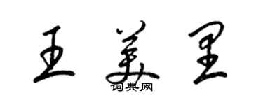 梁錦英王美里草書個性簽名怎么寫