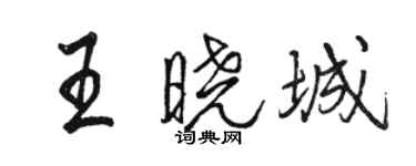 駱恆光王曉城行書個性簽名怎么寫