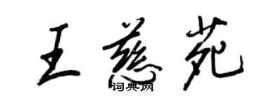 王正良王慈苑行書個性簽名怎么寫