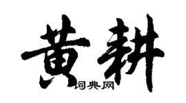 胡問遂黃耕行書個性簽名怎么寫