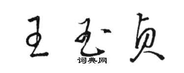 駱恆光王玉貞草書個性簽名怎么寫