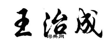 胡問遂王治成行書個性簽名怎么寫