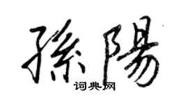 王正良孫陽行書個性簽名怎么寫