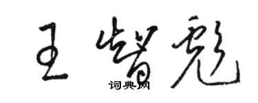 駱恆光王智彪草書個性簽名怎么寫