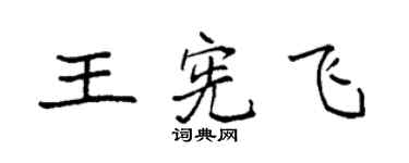 袁強王憲飛楷書個性簽名怎么寫