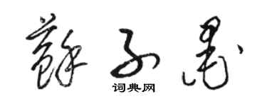 駱恆光蘇子墨草書個性簽名怎么寫