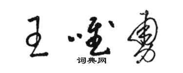 駱恆光王唯勇草書個性簽名怎么寫