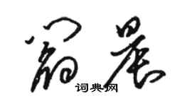 駱恆光閻晨草書個性簽名怎么寫