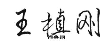 駱恆光王植剛行書個性簽名怎么寫
