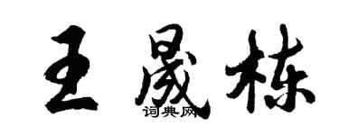 胡問遂王晟棟行書個性簽名怎么寫