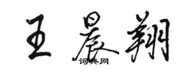 駱恆光王晨翔行書個性簽名怎么寫