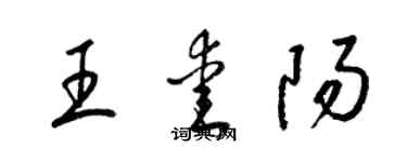 梁錦英王愛陽草書個性簽名怎么寫