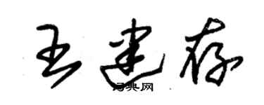 朱錫榮王建存草書個性簽名怎么寫