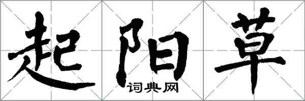 翁闓運起陽草楷書怎么寫