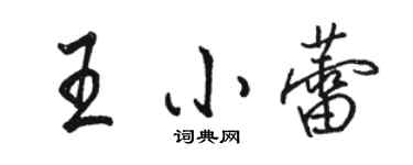 駱恆光王小蕾行書個性簽名怎么寫