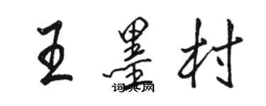 駱恆光王墨村行書個性簽名怎么寫