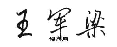 駱恆光王軍梁行書個性簽名怎么寫