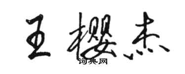 駱恆光王櫻傑行書個性簽名怎么寫