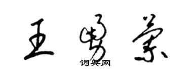 梁錦英王勇蘭草書個性簽名怎么寫