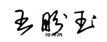 朱錫榮王盼玉草書個性簽名怎么寫