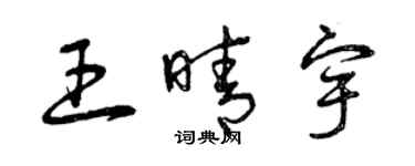 曾慶福王晴宇草書個性簽名怎么寫