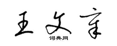 梁錦英王文章草書個性簽名怎么寫